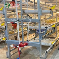 Système de volière Offre Spéciale cage de poulailler de type H/A avec système de collecte automatique pour poulets de chair