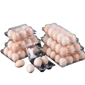 Low Price Uganda Nanya Refiner Egg Tray Machine