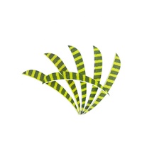 Tir à l'arc flèche plumes rayure 5 pouces en forme de parabolique aubes de dinde traditionnelle chasse en plein air arc classique flèche bricolage accessoires
