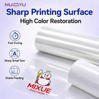 Kit de rouleaux de film PET AB UV DTF transparent pour transfert thermique, autocollant 30cm/60cm x 100m haute température pour application multi-surfaces