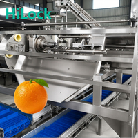 HiLock Turnkey Sapconcentraat Verwerkingsmachine Fruitpulp Jam Productielijn Industriële Fruitverwerkingsapparatuur