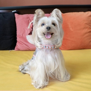 Arnés de Lujo para Perro con Diamantes de Colores, Productos y Accesorios para Mascotas al por Mayor - Product Image 4