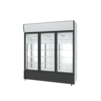 Réfrigérateur vitrine à 3 portes vitrées, refroidissement direct, économie d'énergie, avec éclairage LED