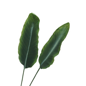 Feuilles de bananier artificielles de haute qualité, feuille de <span class=keywords><strong>strelitzia</strong></span> verte, <span class=keywords><strong>plante</strong></span> décorative <span class=keywords><strong>artificielle</strong></span>, ornement d'intérieur et d'extérieur - Product Image 4