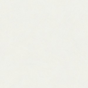 <span class=keywords><strong>Carrelage</strong></span> DEER TILE en porcelaine aspect marbre beige clair brillant, 800*800, épaisseur 10 mm, anti-reflet, pour sol et mur intérieur, garantie 5 ans - Product Image 1