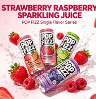 OEM Private Label Aangepaste Premix Geblikte RTD Alcoholische Drank Fruit Whisky Vodka Alcoholische Jelly Sprankelende Sirop Cocktail Drank