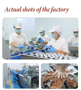 Tự nhiên kháng sinh chăm sóc chó THẢO DƯỢC pha trộn làm giảm ho dị ứng ngứa tăng miễn dịch thoải mái cho tất cả các giống lứa tuổi - Product Image 5