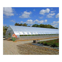 Serre agricole tunnel monopente en PE de haute qualité, petite taille, facilement assemblable, avec couverture en film pour la culture de tomates/concombres