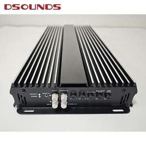 Bộ khuếch đại âm trầm đơn khối kiểu Hàn Quốc 3000W âm thanh xe hơi <span class=keywords><strong>SPL</strong></span> Beast công suất cao cho hiệu suất tần số thấp chiếm ưu thế - Product Image 3