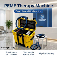Appareil de magnétothérapie PEMF, équipement d'exercice manuel pour la physiothérapie, utilisé par les humains et les animaux