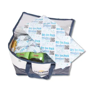 Eiswürfelsäcke für oder Lebensmittel Verwendung Kunststoffverpackung Eisgel-Packung Lieferung Versand Kühlschrank Kaltverpackung