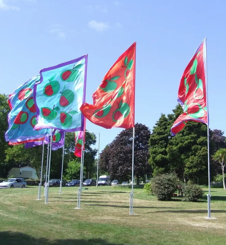 Fabriek Promotie 100% Polyester Outdoor Decoratie Kleurrijke Banner Custom Festival Vlag