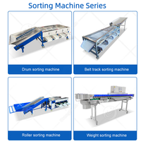 Orme Ui Verse Citroen Sinaasappel Sorteermachine Aardbei Appelwasmachine En Grade Machine