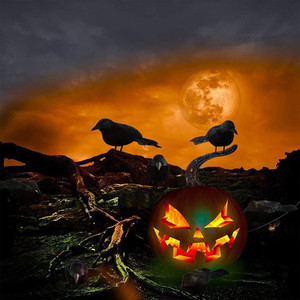 Décoration d'Halloween réaliste 2026 : Corbeaux à plumes noires, oiseaux d'Halloween, accessoires d'Halloween, fausses corbeaux effrayants - Product Image 6