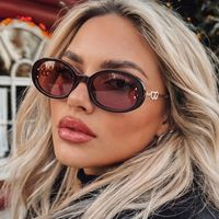 Nouvelles Lunettes de Soleil Ovales Unisexe Anti-UV400 Style Européen et Américain Monture Complète Tendance Influenceur Personnalisées