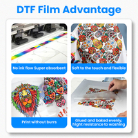 Rouleau de film de transfert DTF Premium 60cm 33cm 30cm pour usine de confection, film PET double face mat facile à décoller, pelable à chaud, vente en gros