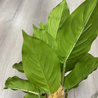Tanaman Aglaonema Buatan dalam Pot, Daun Hijau Putih Bergaris, untuk Dekorasi Rumah dan Kantor