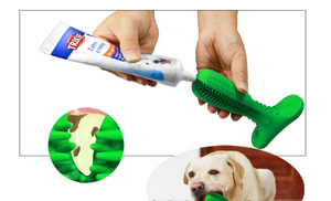 Paket kendini fırça temizleme kauçuk Pet köpek diş fırçası çiğnemek oyuncak ve diş macunu - Product Image 2
