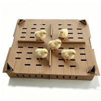 Boîtes en carton pour volailles, poulets, poussins, boîtes de transport en papier pour poussins