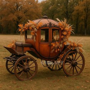 Calèche royale électrique de luxe avec pneus en caoutchouc massif pour 4 à 6 personnes, idéale pour les mariages - Product Image 6