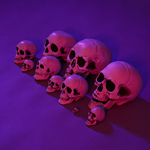 Fournitures d'Halloween, accessoires décoratifs, modèle de crâne humain artificiel, décoration effrayante pour maison hantée, crâne de squelette - Product Image 5