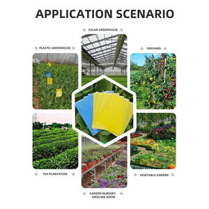 Panneau à insectes collant jaune double face personnalisé avec une forte adhérence pour <span class=keywords><strong>capturer</strong></span> les parasites, petit piège à insectes volants extérieur - Product Image 5