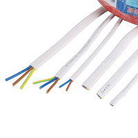 2,5mm Doppel-und Erdung kabel BVVB RVVB PVC Kupfer isoliertes TPS Elektrisches 1,5mm flaches elektrisches Kabel