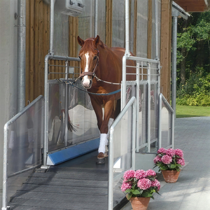 Cinta de Correr Equina para Entrenamiento de Caballos, Equipo de Rehabilitación Veterinaria y Ejercicio para Centros Ecuestres - Product Image 4