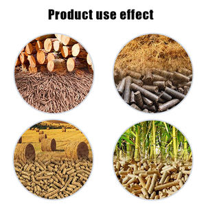 <span class=keywords><strong>Quemador</strong></span> <span class=keywords><strong>de</strong></span> <span class=keywords><strong>pellets</strong></span> <span class=keywords><strong>de</strong></span> biomasa <span class=keywords><strong>de</strong></span> madera <span class=keywords><strong>Quemador</strong></span> <span class=keywords><strong>de</strong></span> <span class=keywords><strong>pellets</strong></span> <span class=keywords><strong>de</strong></span> madera <span class=keywords><strong>casero</strong></span> Máquina <span class=keywords><strong>de</strong></span> fabricación <span class=keywords><strong>de</strong></span> <span class=keywords><strong>pellets</strong></span> <span class=keywords><strong>de</strong></span> madera - Product Image 6