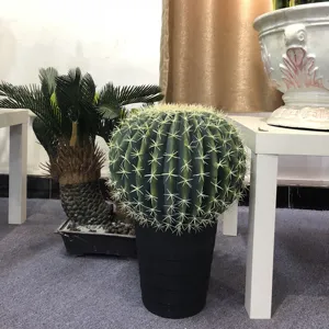 Indoor en outdoor kunstmatige cactus