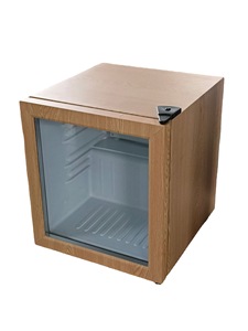 Réfrigérateur NUELEAD NE-52C à affichage numérique, économie d'énergie, 52 litres, acier inoxydable, verrouillage enfant - Product Image 4
