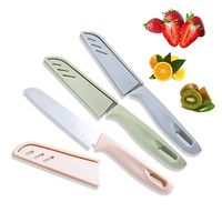 Multifunctionele Keukengadget Roestvrijstalen Fruit-En Groentemes Met Plastic Handvat Fabrieksprijs Pp-Gereedschappen