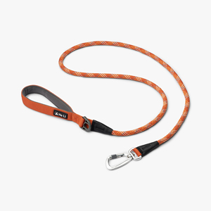 Fábrica nueva correa de nailon reflectante de noche suave de neopreno ajustable <span class=keywords><strong>Collar</strong></span> de perro sólido acolchado Durable moda de liberación rápida - Product Image 1