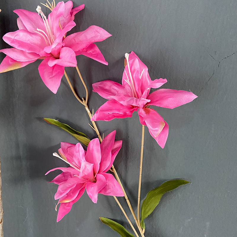 #2 chaude Rose fleur