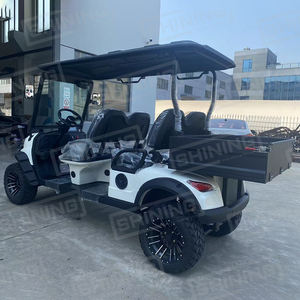 Chariot de golf de marque brillante avec boîte de chargement 500kgs personnalisation de soutien - Product Image 5