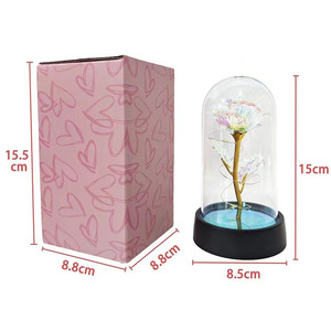 Fleur artificielle <span class=keywords><strong>en</strong></span> <span class=keywords><strong>verre</strong></span> avec <span class=keywords><strong>rose</strong></span> éternelle <span class=keywords><strong>et</strong></span> lumière LED pour femmes, <span class=keywords><strong>rose</strong></span> de <span class=keywords><strong>la</strong></span> <span class=keywords><strong>Belle</strong></span> <span class=keywords><strong>et</strong></span> <span class=keywords><strong>la</strong></span> Bête, cadeaux d'anniversaire pour filles, Noël - Product Image 6