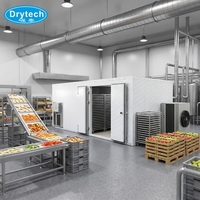 Nieuwe design uitstekende machine voor het drogen van gesneden tomaten, mango's en bananen te koop