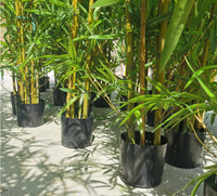 Bâtons de bambou synthétiques en Pvc, 1 mètre, plantes artificielles, arbre avec feuilles de bambou artificielles