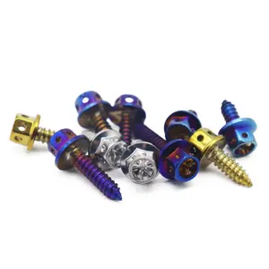 Oem Custom Metric Pure Titanium Gr2 Gr5 Ta2 Tc4 Bt16 Tc16 Vt16 Gouden Zilver Blauw Geanodiseerde Kleur Hex Flens Hoofd Tapping Schroef