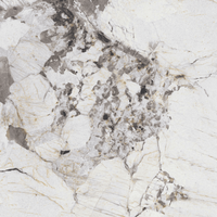 Dalles en pierre frittée FloralPandora 1600x3200 12mm, finition émaillée, pour aménagement paysager et revêtement de sol/mur de salon, résistantes à l'usure