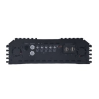 Amplificateur de subwoofer de voiture de style brésilien, pleine gamme, 1 ohm, 5000 W, amplificateur de basses puissant, monobloc, classe D, amplificateur de voiture