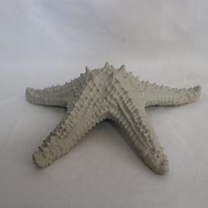 Hars Oceaan Zee Ster Boetiek <span class=keywords><strong>Aquarium</strong></span> Handgemaakt Handwerk Maritieme Artikelen Huisdecoratie Stukken - Product Image 6