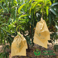 Sacs de protection pour mangues du Sri Lanka, sacs de protection pour fruits en agriculture au Bangladesh