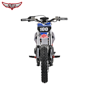 Vente directe d'usine Zuumav Moto tout-terrain automatique à essence 110cc pour enfants - Product Image 2