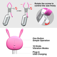 Wiederauf ladbarer Controller 10 Vibrations modus Nippel Brüste Stimulator Erotic Bullet Vibrator Sexspielzeug für Frauen Spielzeug für Erwachsene xx.xx %
