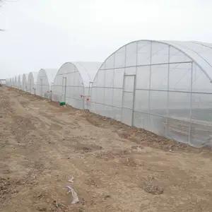 Sistema de cultivo hidropónico de película plástica de invernadero de túnel alto a precio barato 2024 a la venta