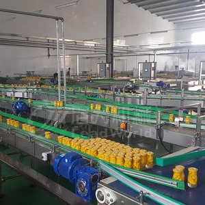 Leadworld – ligne de Production automatique de fruits, légumes, raisins, pêche jaune, fraise, fruits en conserve, haute précision - Product Image 6