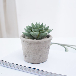 Spéciale incroyable artificielle plantes succulentes cactus herbe bonsaï avec <span class=keywords><strong>pot</strong></span> en béton pour la décoration - Product Image 5