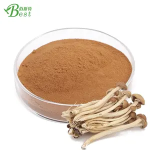 Qualité supérieure agrocybe <span class=keywords><strong>aegerita</strong></span> extrait/champignon de théier/d'agrocybe cylindracea extrait 10:1 - Product Image 1