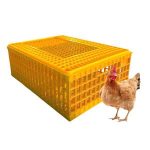 Jaulas de Plástico <span class=keywords><strong>para</strong></span> Aves de Corral <span class=keywords><strong>para</strong></span> Transportar Pollos Vivos, <span class=keywords><strong>Jaula</strong></span> de Transporte <span class=keywords><strong>en</strong></span> <span class=keywords><strong>Venta</strong></span> - Product Image 1